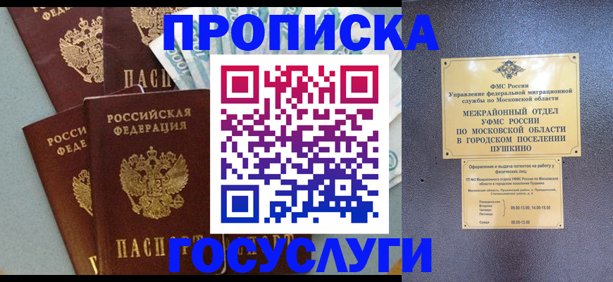прописка гарантия в Камешково